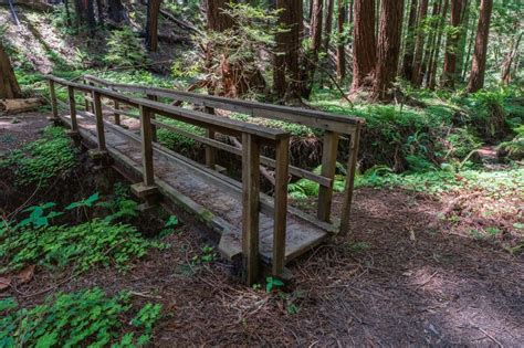 Six Bridges Trail - Sempervirens Fund
