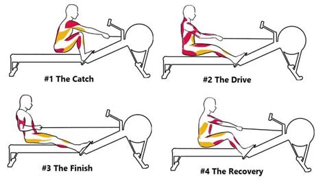 Image result for Rowing Machine Work Core