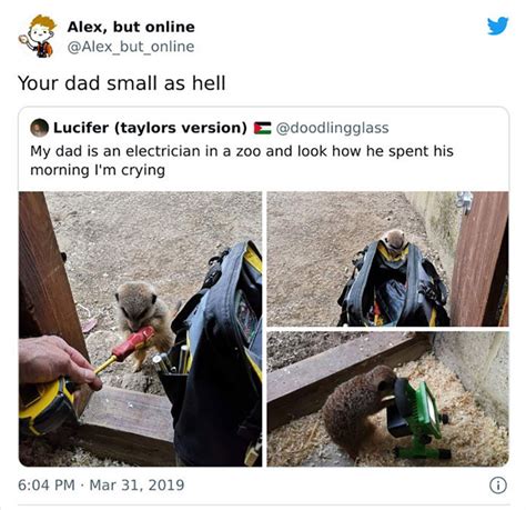 Most Random Comment 的图像结果