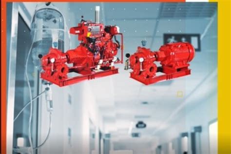 Lubi Pumps | Products