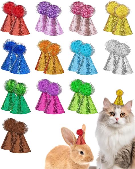 Amazon.com : PET SHOW 24 Pack Mini Party Hats Small Dog Birthday Hats ...