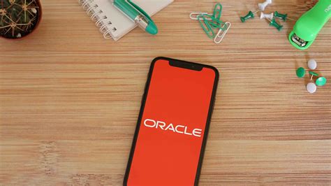 Image result for Primavera Programa