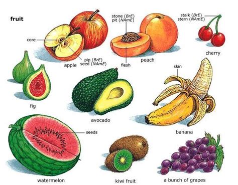 Fruit Idioms and Phrases with Meanings and Examples | ️ ️ ️ ITTT