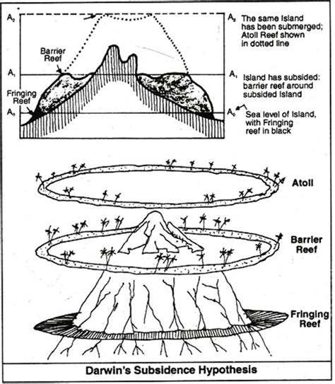 Coral Reefs and Atolls: Darwin's Subsidence Theory for UPSC