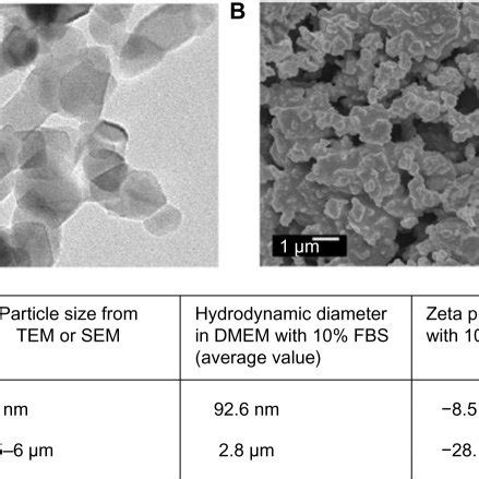 SiO2 Particles 的图像结果