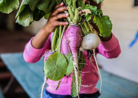 Fresh Local Sign 的图像结果
