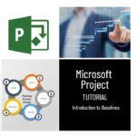 Microsoft Project Baseline Tutorial 的图像结果