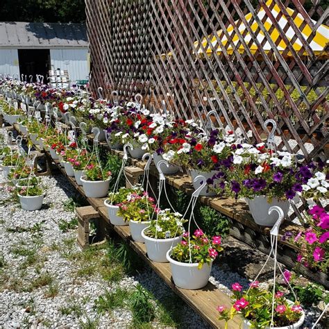 Evans Family Ranch | Pastured Grass-Fed Beef | Locally Grown Seasonal ...