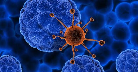 Cancer Biology | etoxlab.co.in