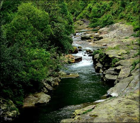 Mawlynnong Tourism (2024): All You Need to Know Before You Go