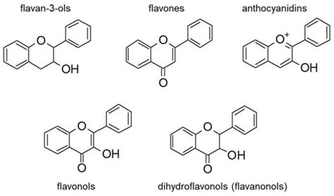 Classification of Wine Phenolic Compounds | Encyclopedia MDPI