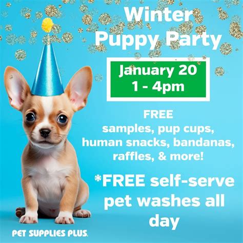 Winter Puppy Party, 8937 US-30 North Huntingdon, PA, United States ...