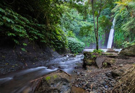 Wanangiri Pucak Manik Waterfall in Bali: A Bali's Nature Escape