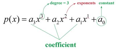 Polynomials Class 10 Notes Maths Chapter 2 Free PDF