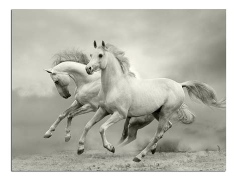 JP London Solvent Free Poster Art Print PAP2378 Ready to Frame Wild ...