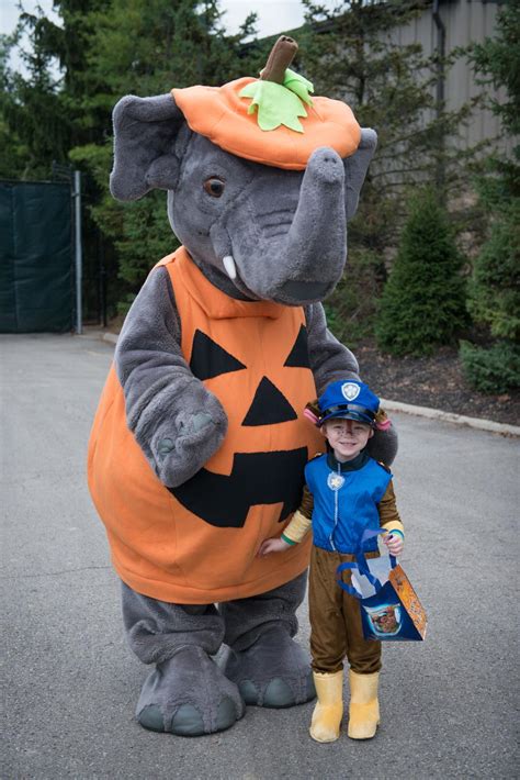 Columbus Zoo and Aquarium | Boo at the Zoo