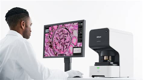 Eclipse UI Script 的图像结果