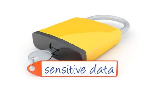 Example of Sensitive Data 的图像结果