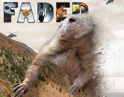 Image result for NWTC Tutorial in Submitting Documents