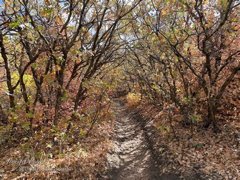 Bells Canyon to Reservoir and Lower Waterfall – Utah Hiking Beauty