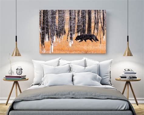 Image result for Yellowstone Grey Wolves