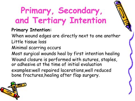 PPT - Intricate Process of Wound Healing PowerPoint Presentation, free ...