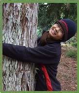 Green Movements, Information on Green Movements, Green Movements in ...