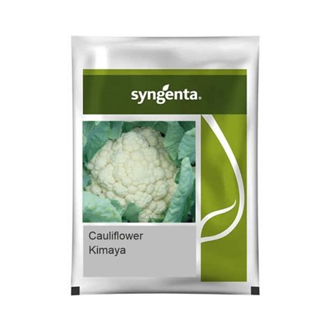 Syngenta Kimaya Cauliflower Hybrid Seeds 2000SD – Cultree India