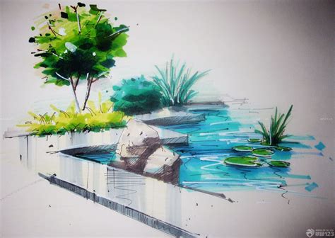 景观马克笔手绘树景观马克笔手绘图片2022已更新今日资讯