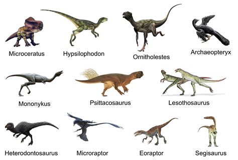 Dinosaurs Names Deceptive Feathered Dinosaur Finally Gets A Name