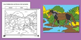 Flower Color by Number Division Activity | Twinkl USA
