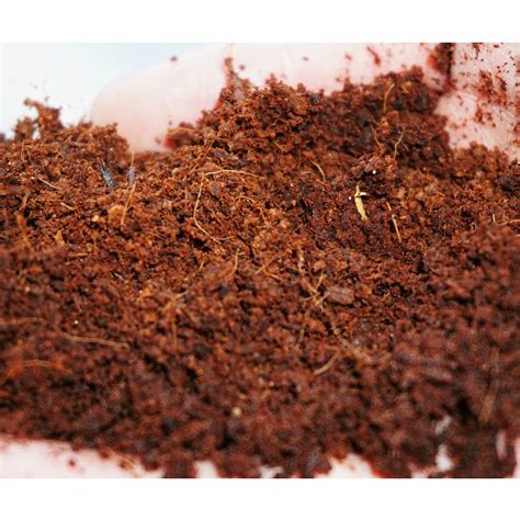 Gardening Coir Pith Low EC Coco PEAT Brick. – biobloomsshop