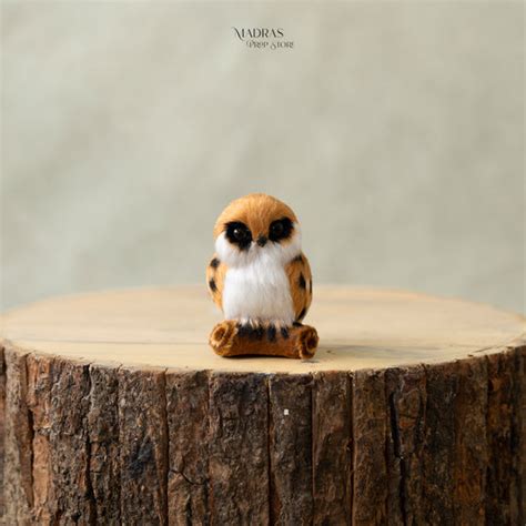 New Arrival – Madras Prop Store