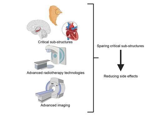 Cancers | Free Full-Text | Regional Responses in Radiation-Induced Normal Tissue Damage