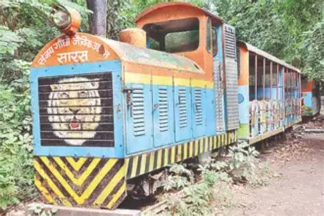 Patna zoo to relaunch toy train with eco-friendly features THE NEW ...