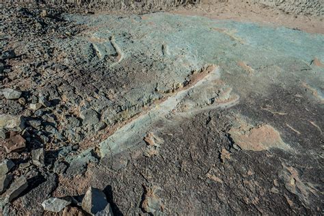 Mill Canyon Dinosaur Tracksite & Fossil Trail in Utah - We Love to Explore