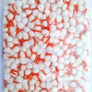 Cotton Flower Batti Cotton Wicks for Pooja | Special Puja Batti Round ...