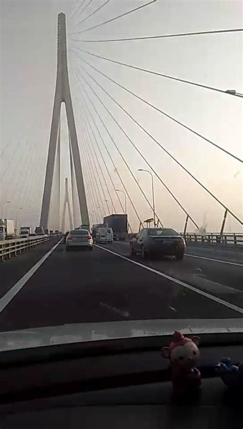 【携程攻略】南通苏通大桥景点,苏通大桥是世界跨度第二大的斜拉桥。位于中国江苏省，该桥跨越长江，…