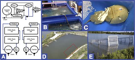 Fish Farming Methods 的图像结果