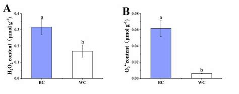 Blue H2O2 的图像结果