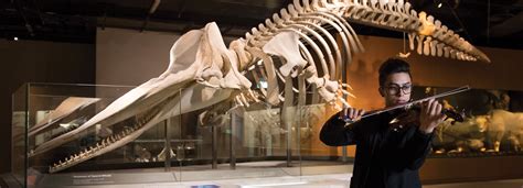 Bing Chay 的图像结果