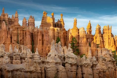 Image result for Free Sample Images Tiff Format