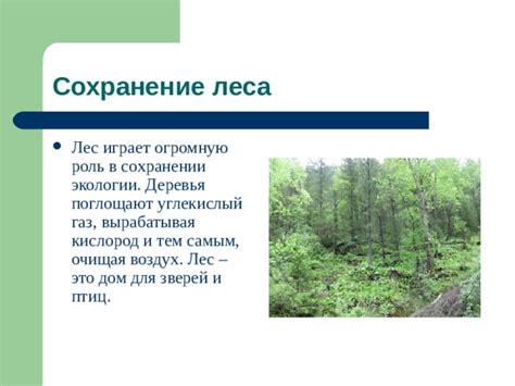 Презентация к проекту "Экологические проблемы леса"