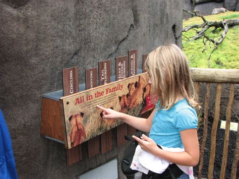 ZooLex Image - Lion Interpretation