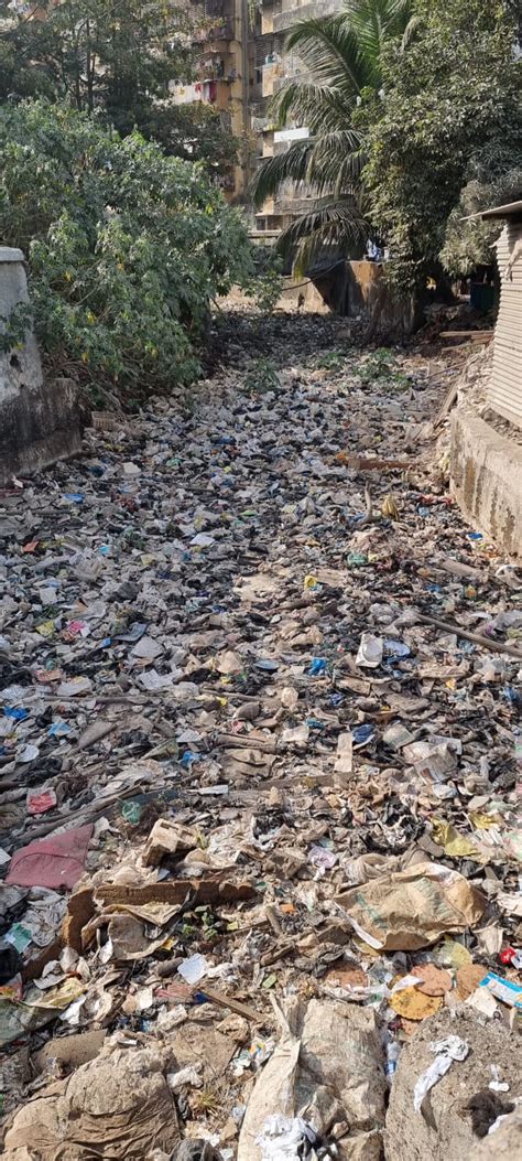 Thane: Activists raise concern over polluted Desai creek near Mumbra ...