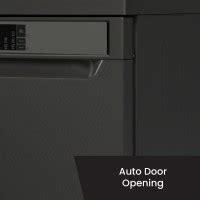 IFB Neptune VX16 Free Standing 16 Place Settings with ION Technology ...