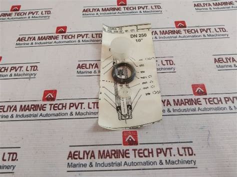 Ksb Dn 250 10" Isoria 20 Set – Aeliya Marine Tech®