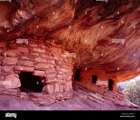 Mule Canyon Ruins, Ancestral Puebloan dwelling, Cedar Mesa, Utah Stock ...