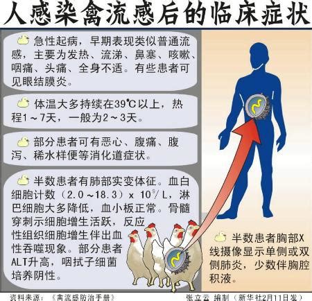 图表：人感染禽流感后的临床症状