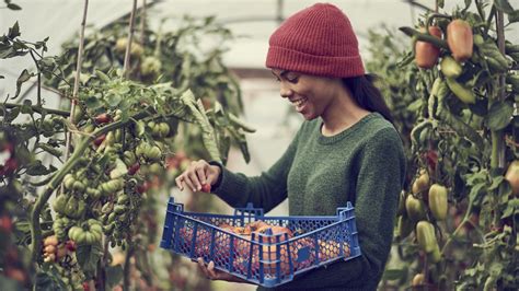 Technology Consumers 的图像结果